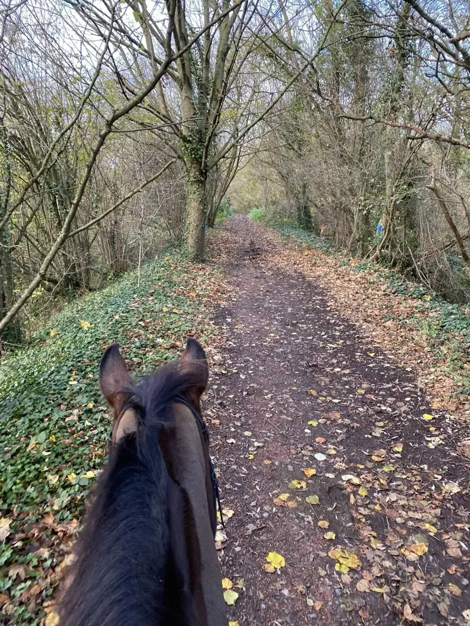 Balade à cheval